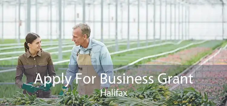 Apply For Business Grant Halifax